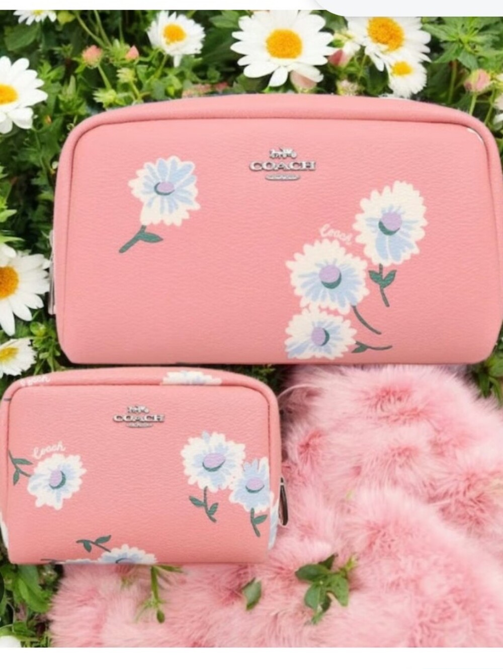 Coach NEW Pink Daisy Cosmetic Case Duo
